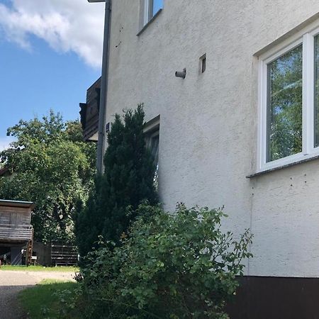 Apartamento Grüner Haus Gampern Exterior foto